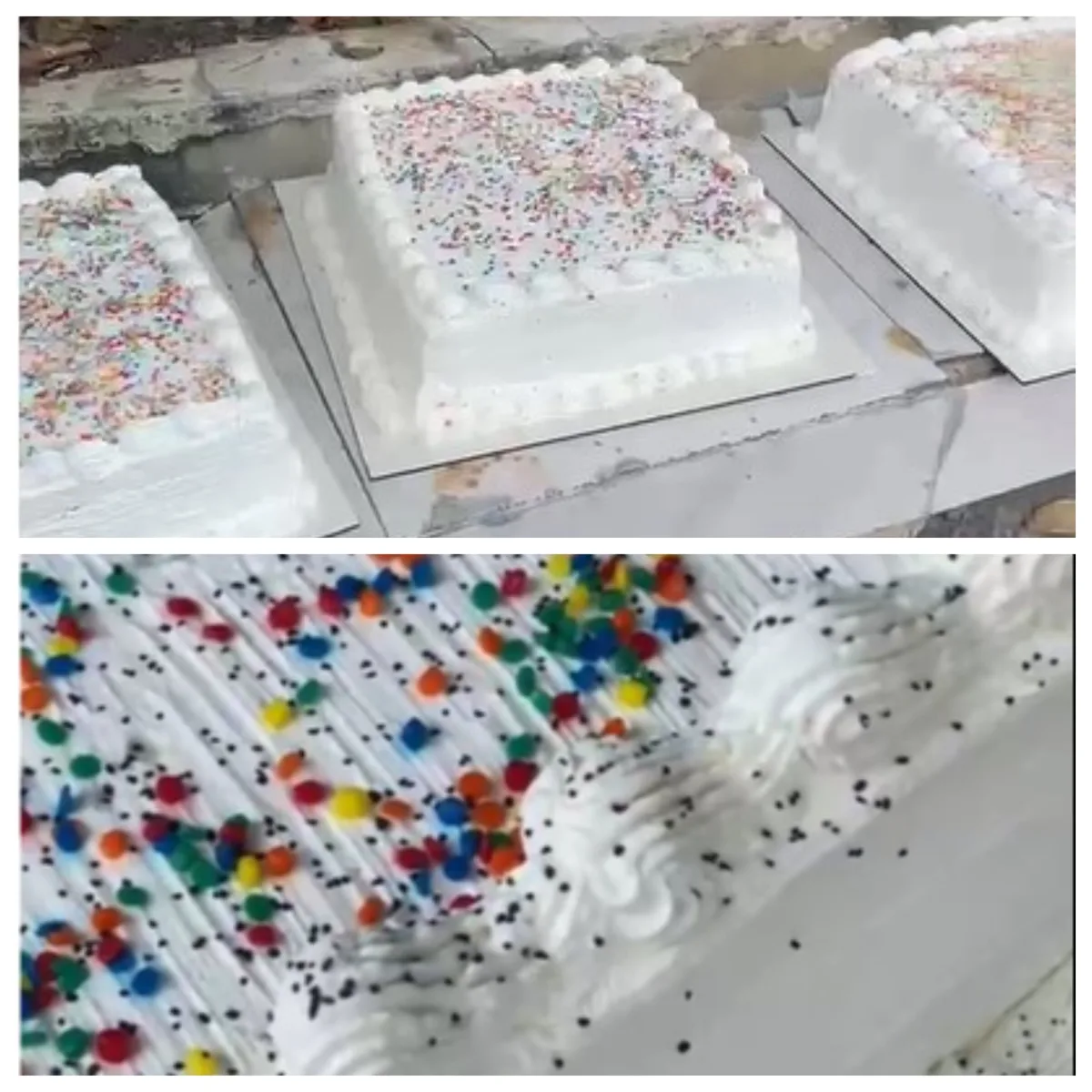 Vídeo mostra bolinhas pretas suspeitas de serem chumbinho em bolos para festa do Dia das Crianças no Rio
