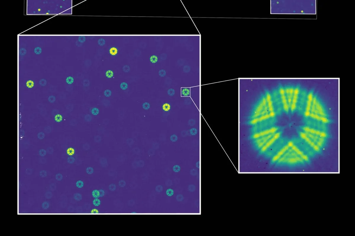 NASA’s New $4 Billion Space Telescope Just Saw Starlight for the First Time. Here’s What It Saw