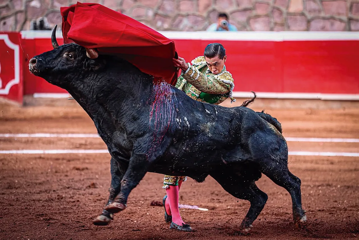 Sangre torera