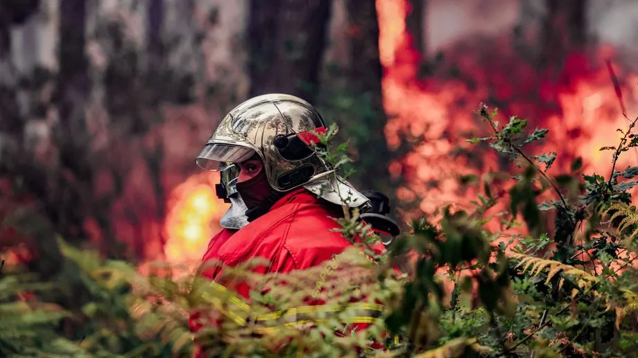 Incendies : 98.000 hectares brûlés depuis le début de l'année en France, un record depuis 1976