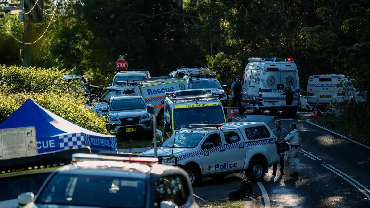 Second child dies in hospital after alleged Blue Mountains stabbing tragedy, police confirm