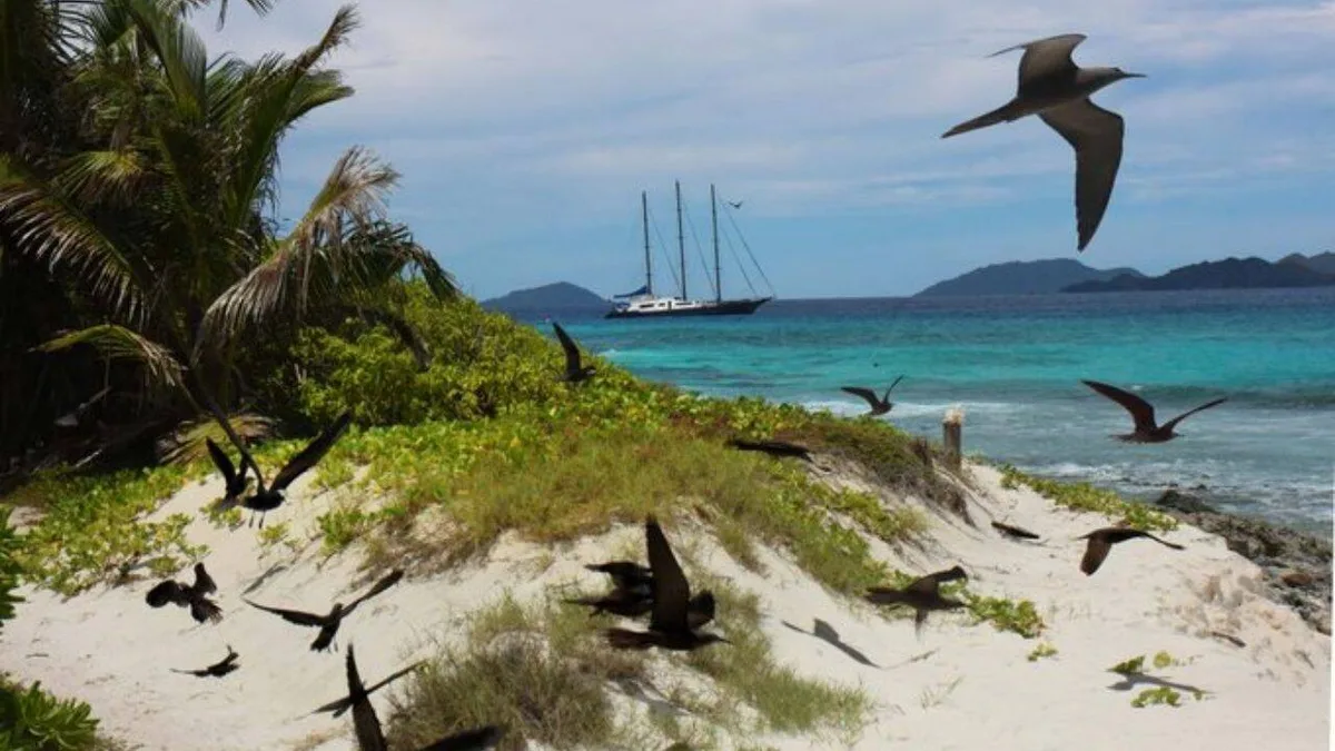 In 1973, Cadbury saved a stripped Seychelles island; today, more than 1M seabirds breed there yearly