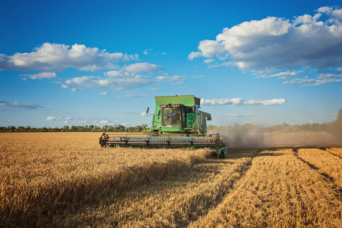 Cerca de 83% do crédito rural para soja teve aderência ao cultivo financiado, aponta Serasa