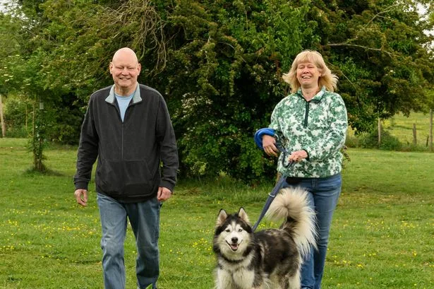 Couple foster 59 rescue dogs over 15 years after opening their home to pups