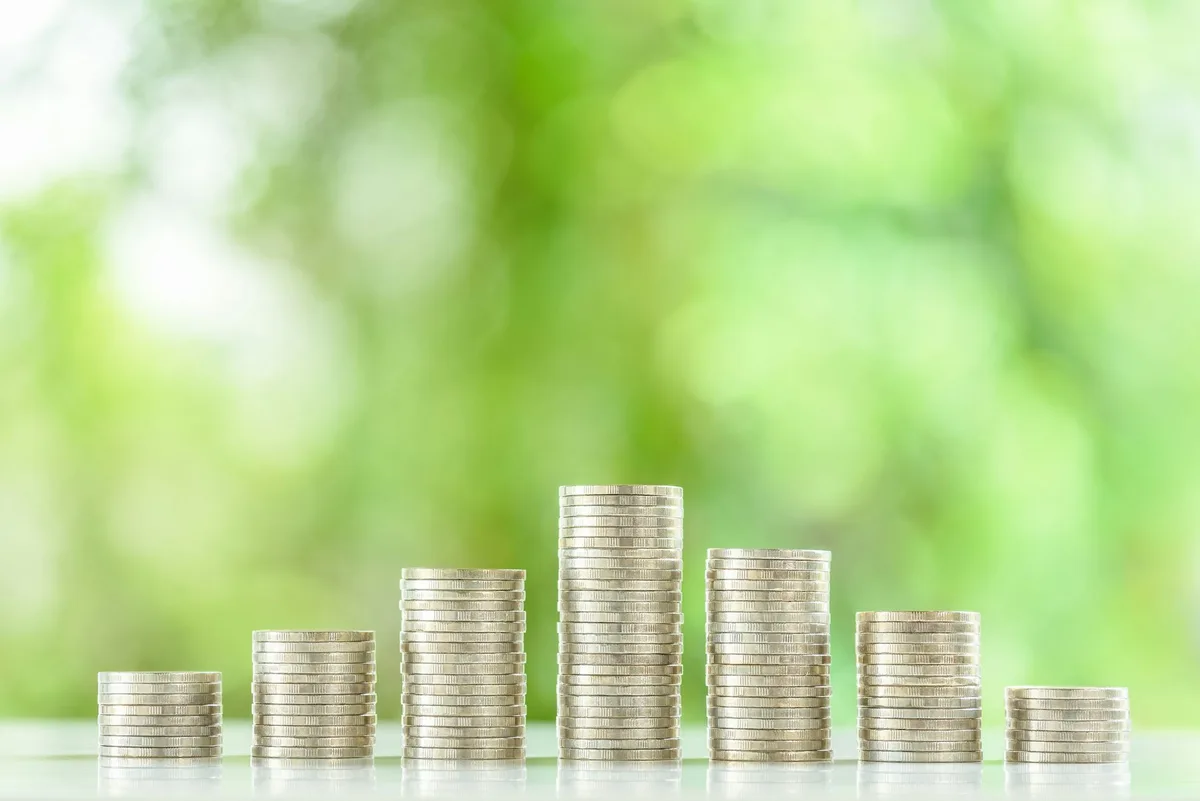 Investments promising social or environmental benefits need tougher anti-greenwashing rules