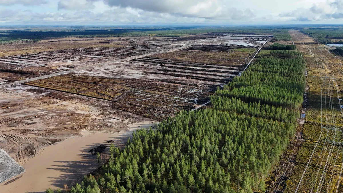 Finnland: KI-Boom auf Kosten der Natur?