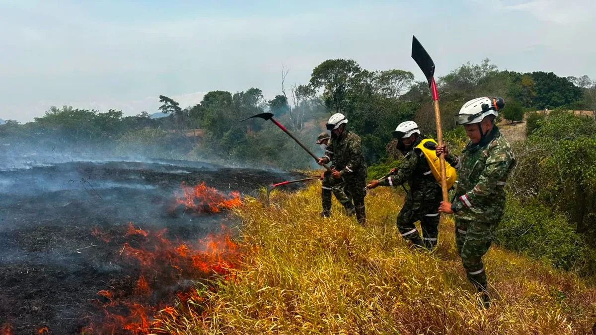 Incendios en Tolima EN VIVO: hay más de 22 conflagraciones incluyendo a Melgar