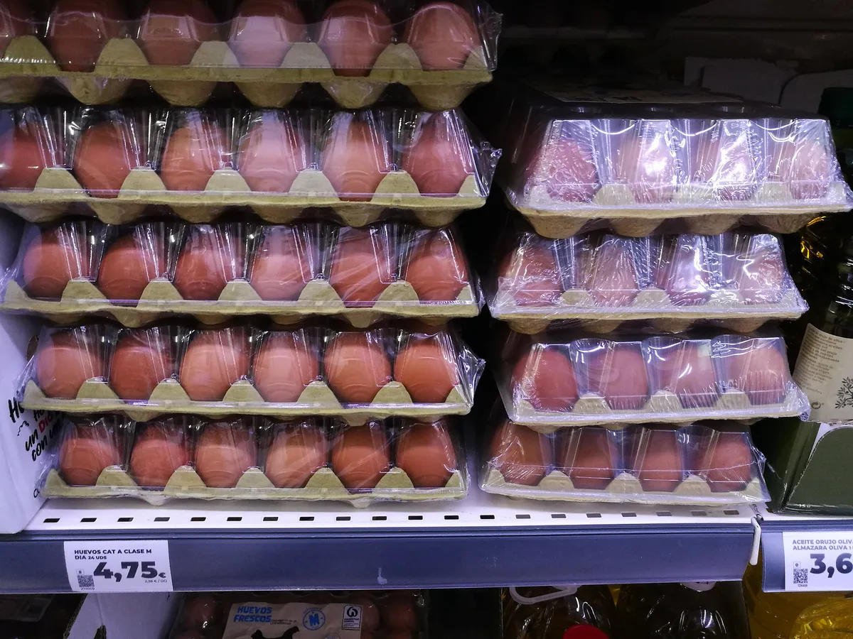Al menos 13 intoxicados por salmonela en España por huevos contaminados con la bacteria
