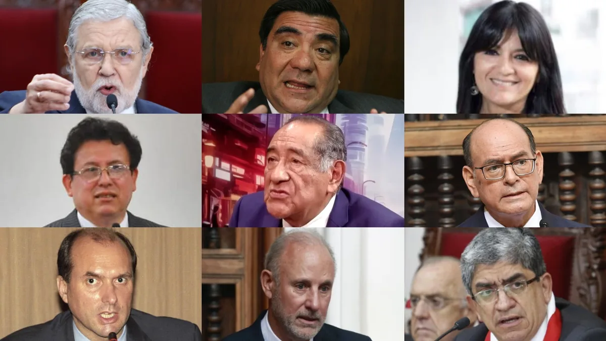 Estos son los miembros del Consejo Consultivo de la Comisión de Constitución del Senado
