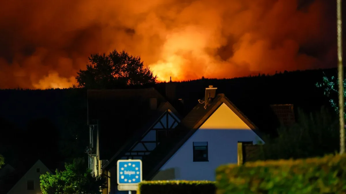 Waldbrände: Feuer aus Belgien rückt nicht weiter vor