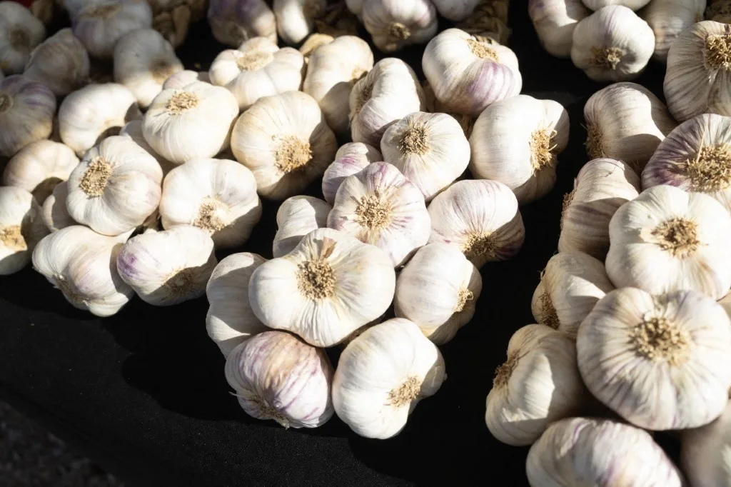 L'ail, vedette de la gastronomie française désormais dépassée par son concurrent chinois