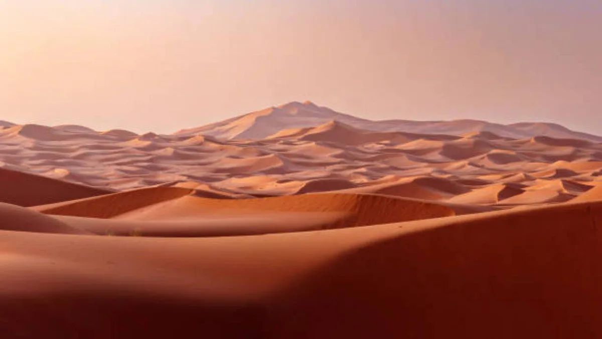 UAE is turning desert sand into eco-friendly bricks, the method cuts cement needed for construction to nearly half