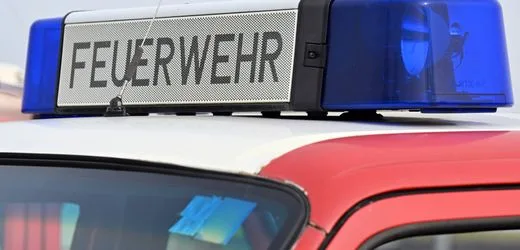Offenbach: Tiere bei Großbrand auf Reitanlage in Hessen gerettet