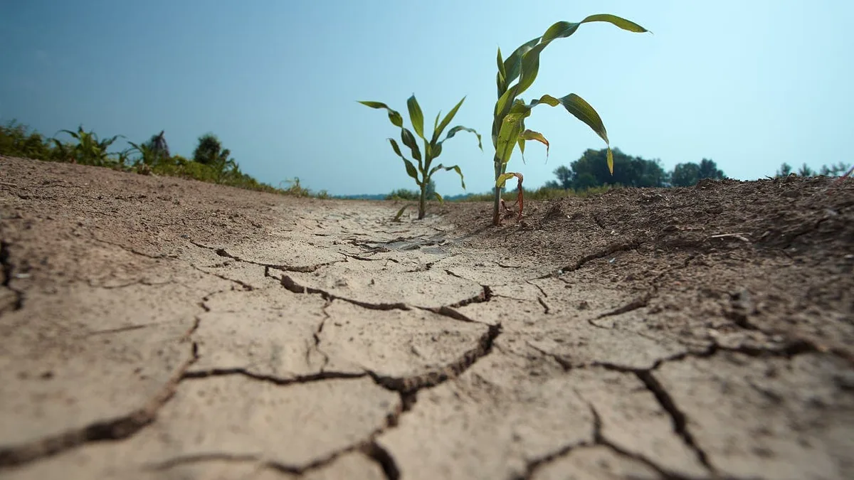 Wetter und Klima: »Historische Hitze, verbreitete Trockenheit«