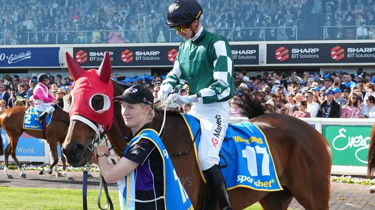 Ohope Wins humanely euthanised after tragic fall in Caulfield Cup