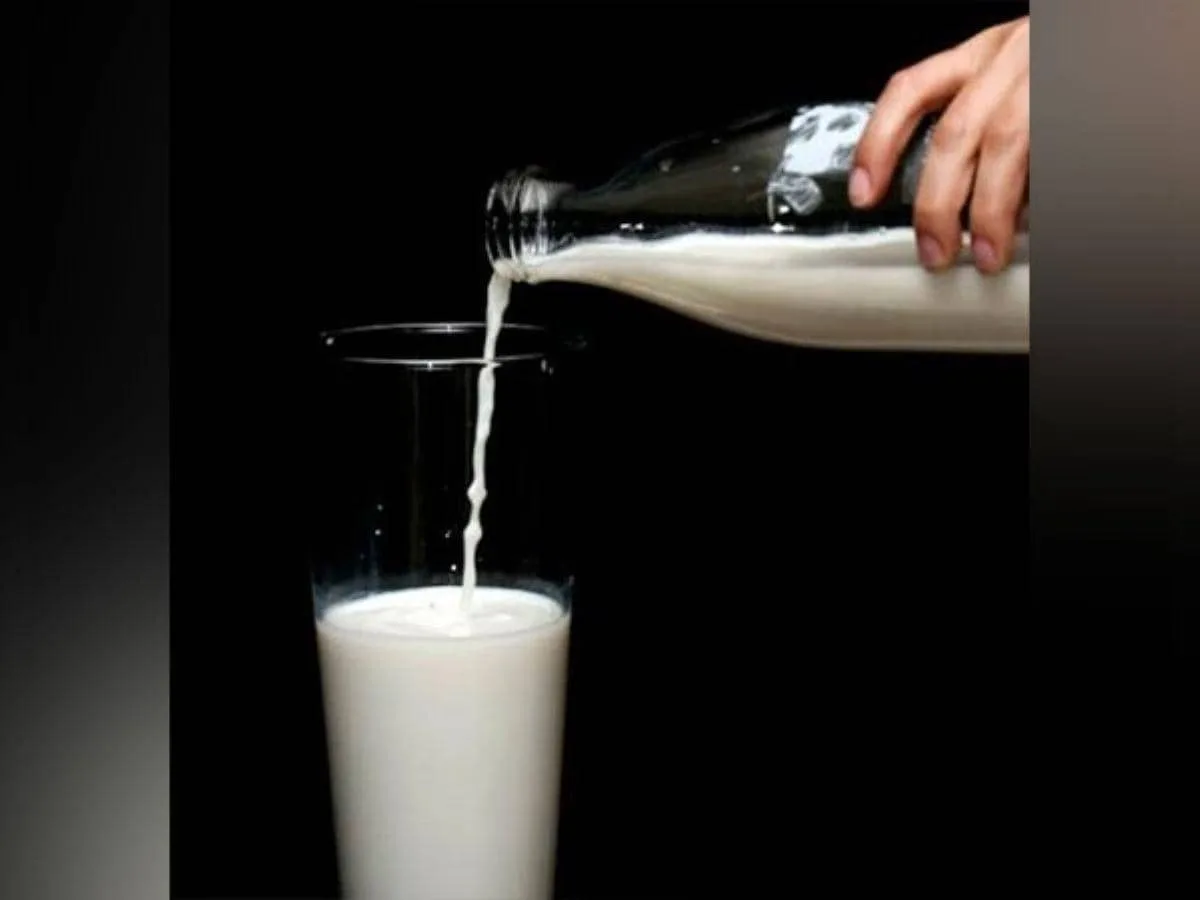 Climate risks may widen India's milk demand-supply gap, says CII paper