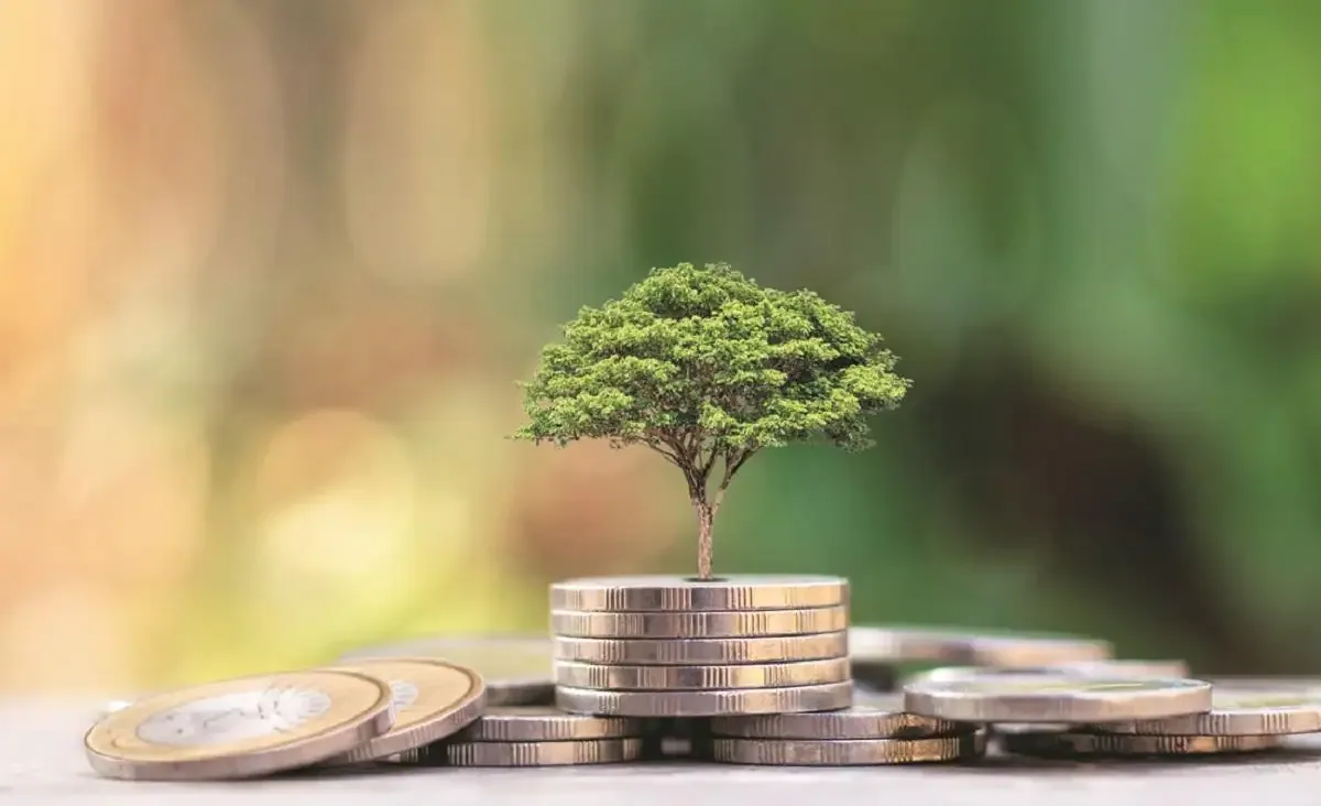 CII taskforce seeks new green finance institution for sustainability goals