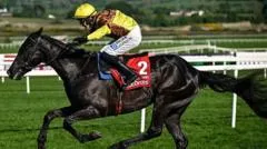 Two-time Gold Cup winner Galopin Des Champs dies days after retiring