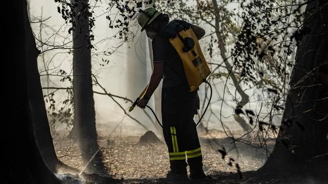 Wetterdienst: Waldbrandgefahr in Hessen sinkt