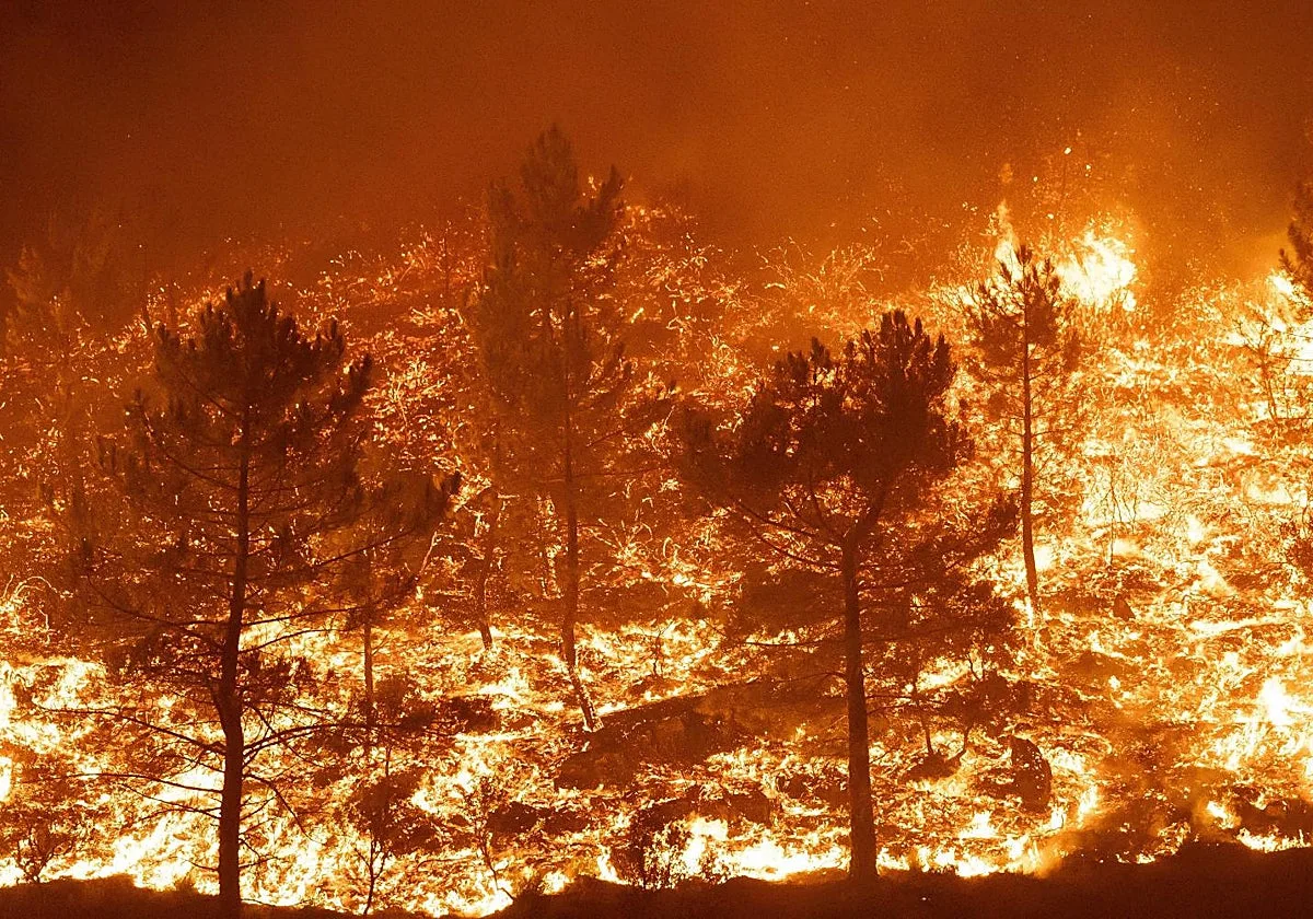 Los incendios forestales no se apagan solo en invierno