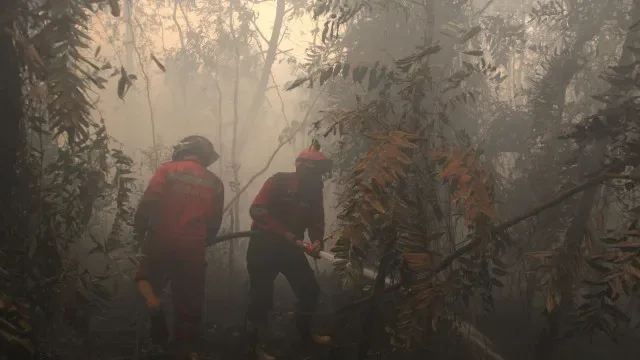 Sete meios aéreos e mais de 100 operacionais combatem fogo em Santo Tirso