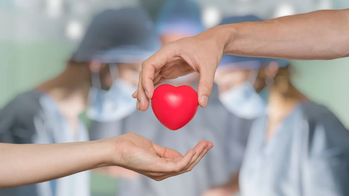 Más de 18 mil salvadoreños registraron en su DUI su voluntad de donar órganos este año; predominan los tipos sanguíneos O+ y A+