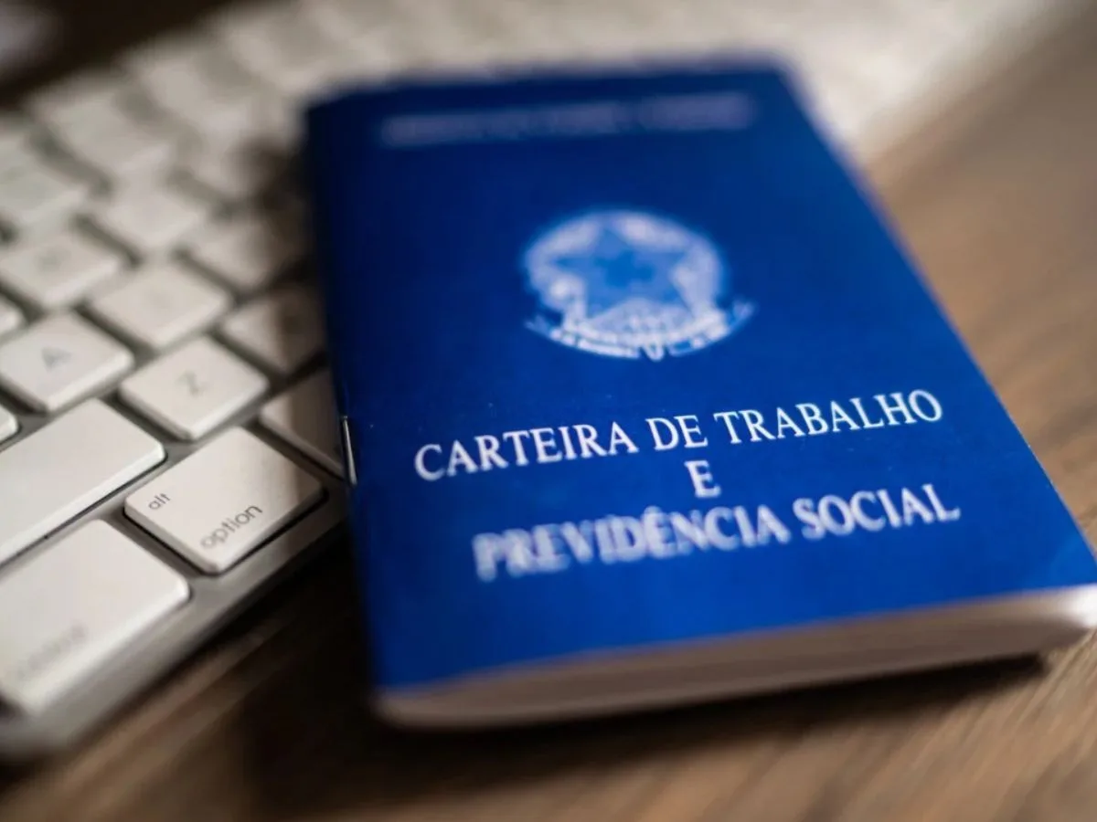Baixada Santista cria 2,5 mil empregos formais no 1º semestre; confira os setores que mais contrataram