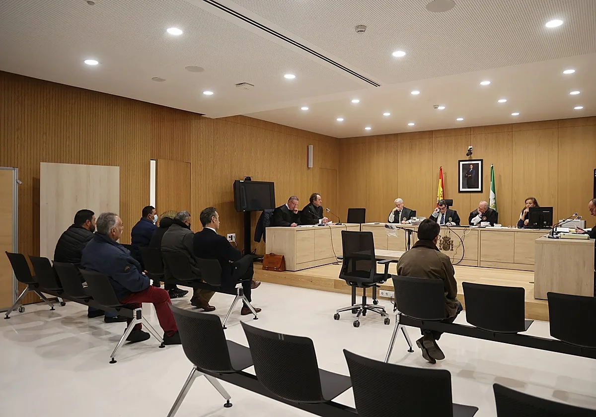 El Gobierno crea la mitad de los jueces que demanda Andalucía a solo mes y medio de las elecciones generales