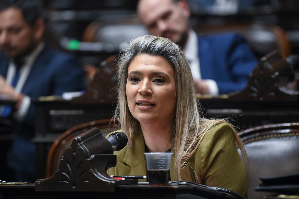 Puja en el Senado por la estratégica comisión de Acuerdos: los aliados dudan de la candidata del Gobierno