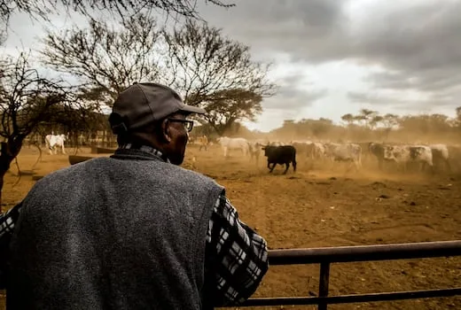 PHILIP MASEKO | The economics of the land question