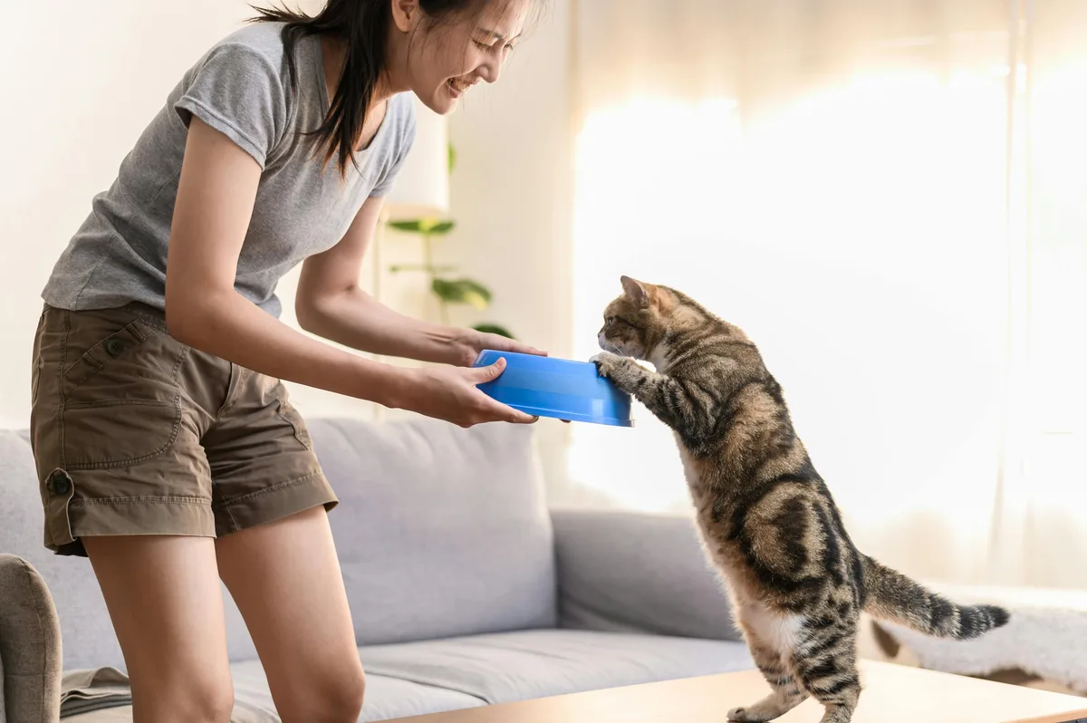 Según la psicología, los que le hablan a las mascotas como si fueran personas tienen una marcada sensibilidad hacia su entorno