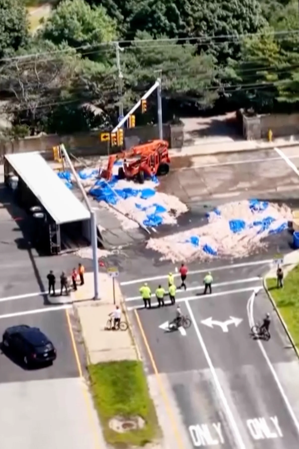 ‘Squid has a distinctive odor to it’: Seafood truck crash in Rhode Island creates ‘Squidpocalypse of ’26’