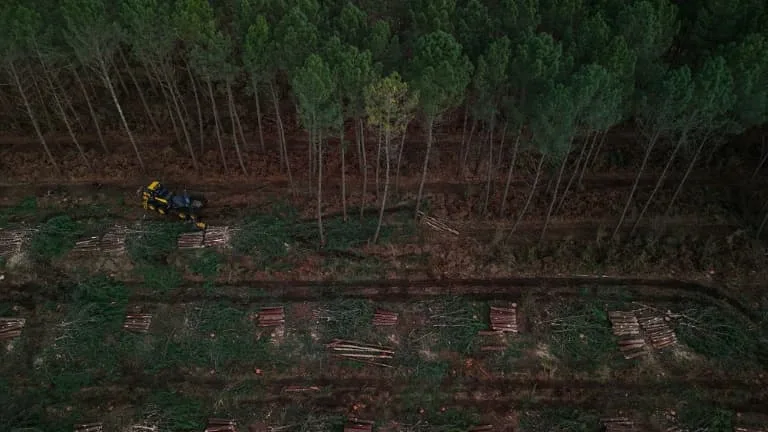 Incendie dans les Landes: le feu est désormais fixé, la moitié des évacués autorisés à rentrer chez eux