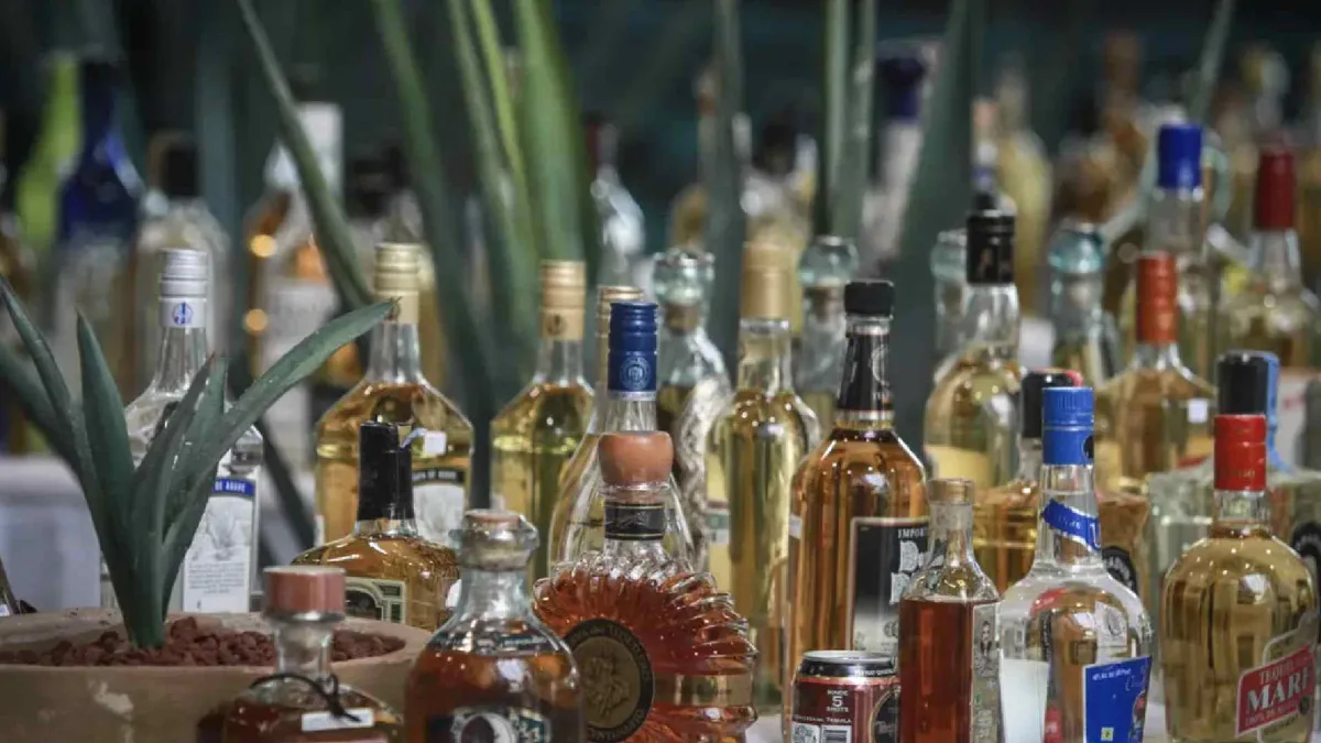 Tequila mexicano apuesta por India como nuevo mercado clave ante la caída del consumo en Estados Unidos
