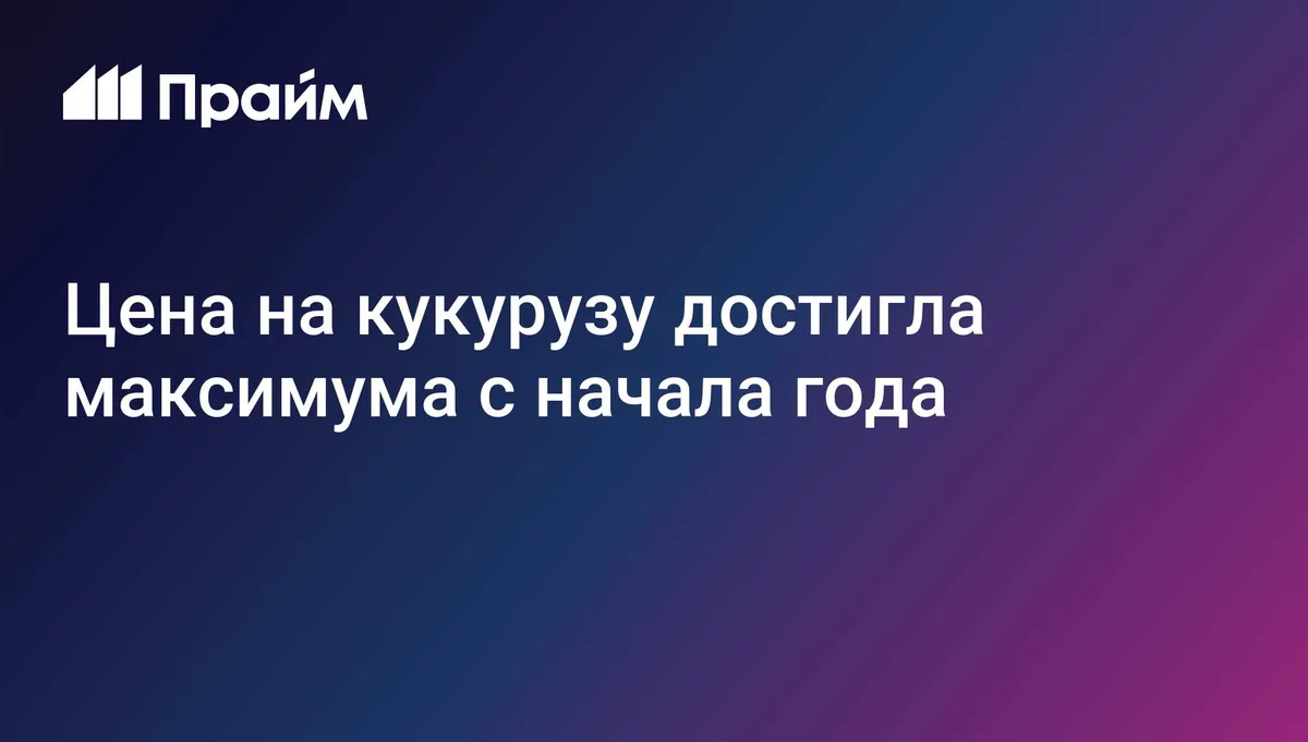 Биржевая цена на кукурузу достигла максимума с начала года
