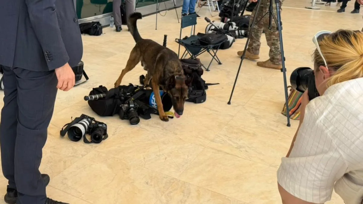 Cães farejadores e segurança reforçada, com inspeção de equipamentos de jornalistas, chamam atenção antes de sessão no STF
