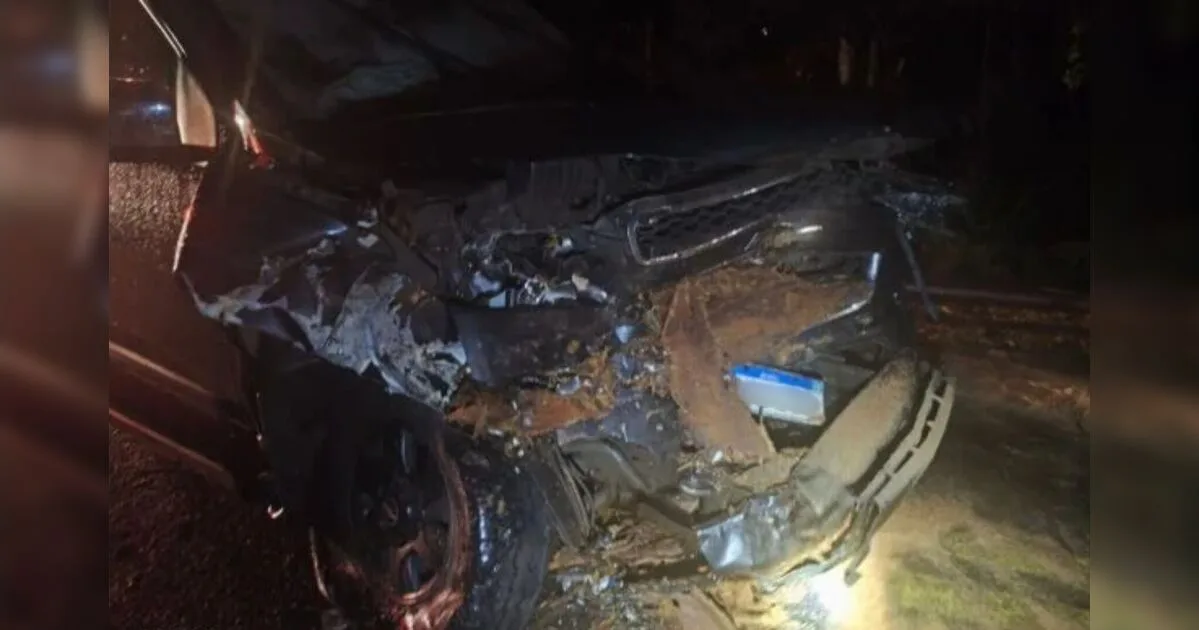 Caminhonete colide contra árvore caída em rodovia entre Bom Sucesso e Itambé