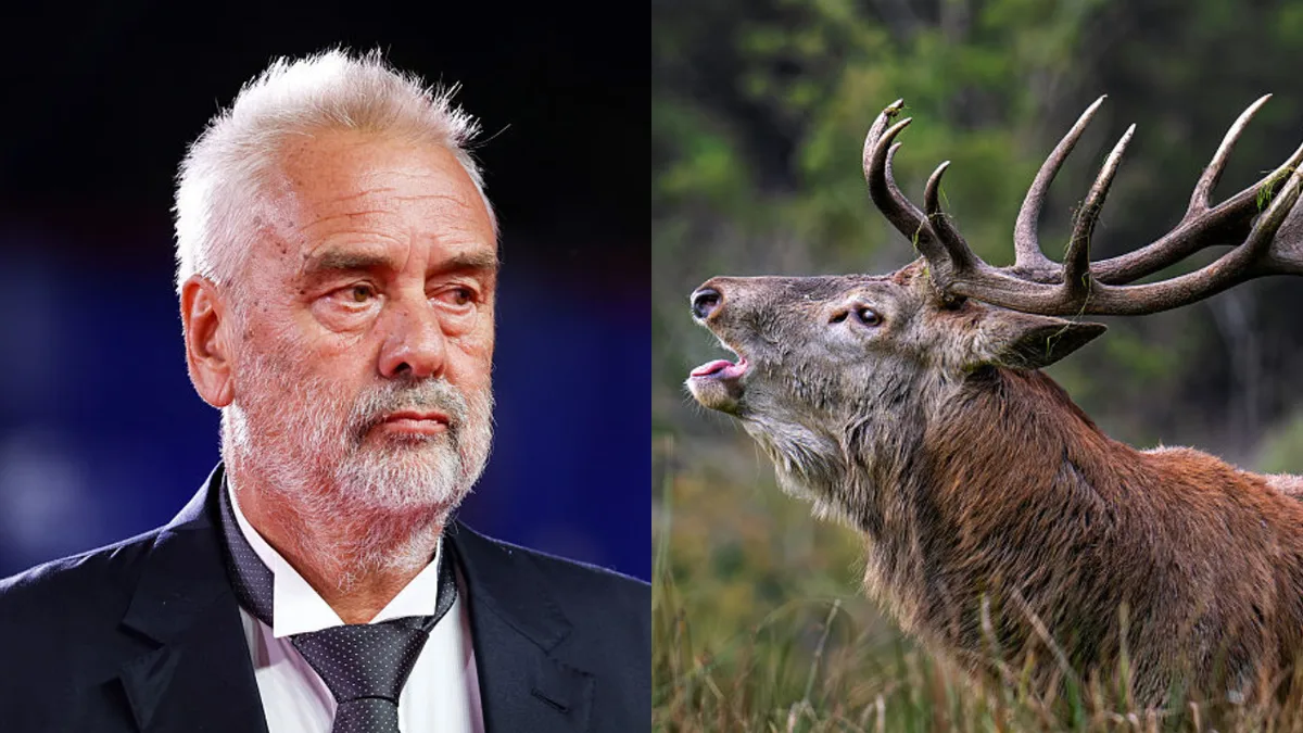 Luc Besson indigné après de nouveaux actes choquants de chasseurs chez lui