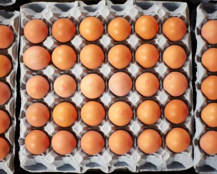 What is salmonella, how does it spread and are eggs safe to eat?
