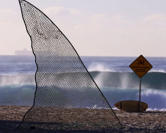 Sharks have always stoked panic in Australia. While scientific understanding grows, conservation efforts can be unseated by fear | Anna Clark