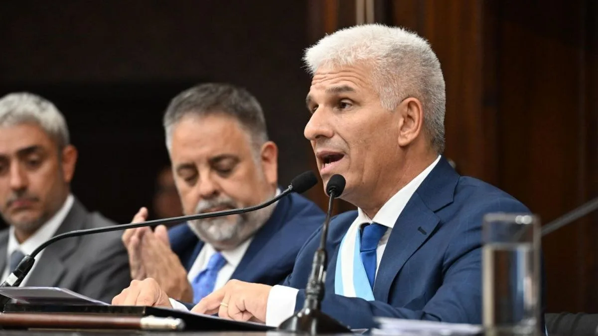 San Luis aprobó la reforma constitucional: prohíbe la reelección indefinida y suprime los comicios de medio término