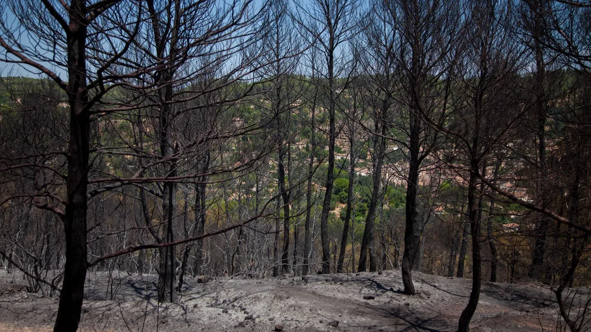 Après "un mois de combat", le feu du Gros Bessillon qui a parcouru 6.300 hectares dans le Var est officiellement éteint