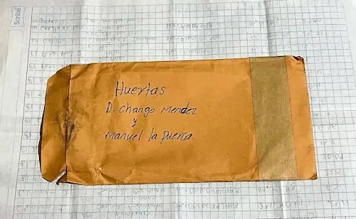Aguacate exportado a China lleva sello de La Familia Michoacana