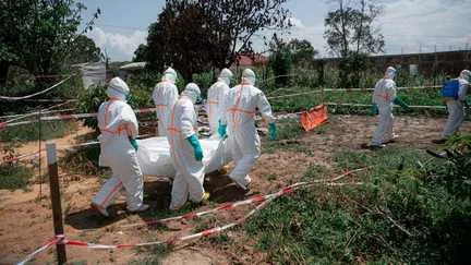 Face à l'épidémie d'Ebola, l'Organisation mondiale de la santé fournit 70 000 doses de vaccin Ervebo à la RDC
