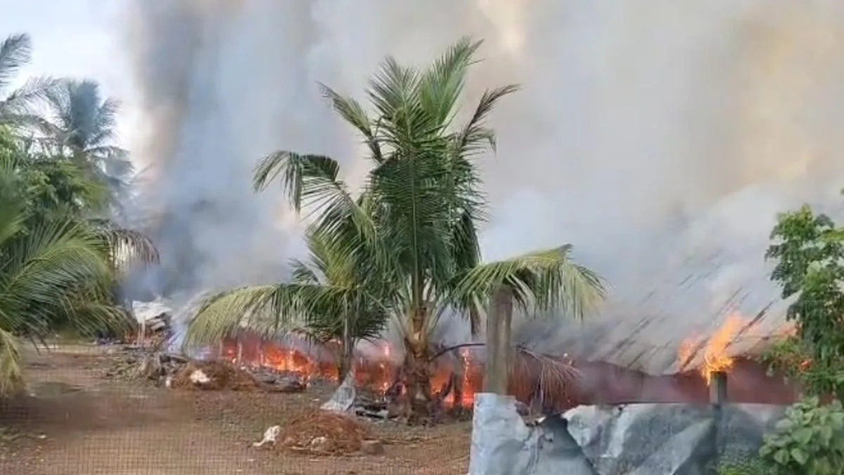 Over 5,000 chickens killed in a poultry farm fire near Cheyyar