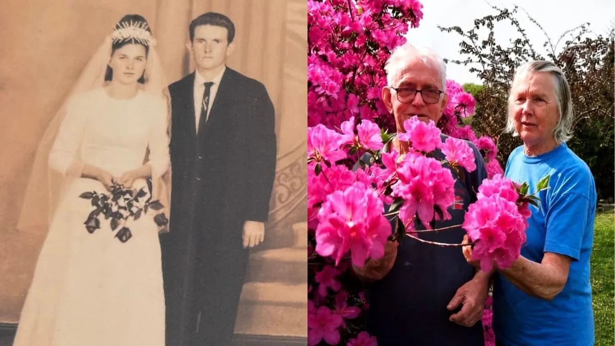 Casal por trás de ‘mar de flores’ vive história de amor há 60 anos e revela segredo para união duradoura