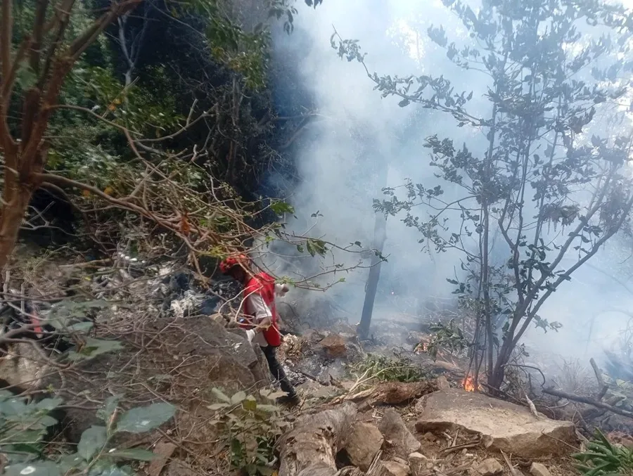 Fallecen el director de Inteligencia de Ecuador y su esposa en accidente aéreo en Kenia