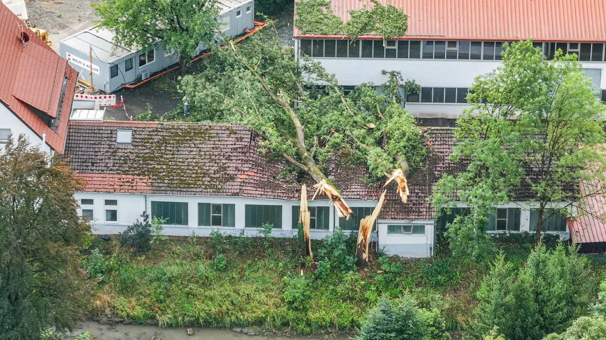 Bäume umgestürzt, Keller nass: Wetterwechsel mit Wumms: Wo das Unwetter besonders stark war