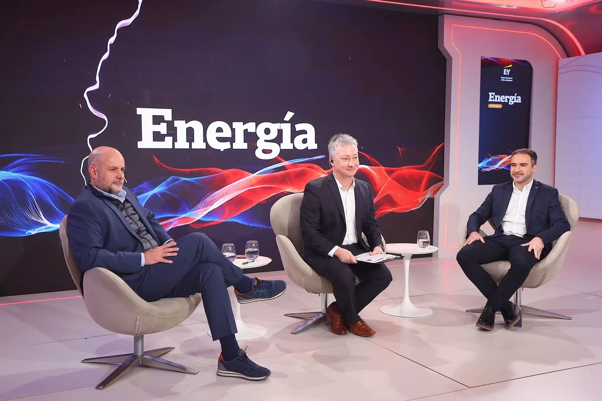 “Hoy la energía renovable, además de canchera, es competitiva”, destacan ejecutivos del sector