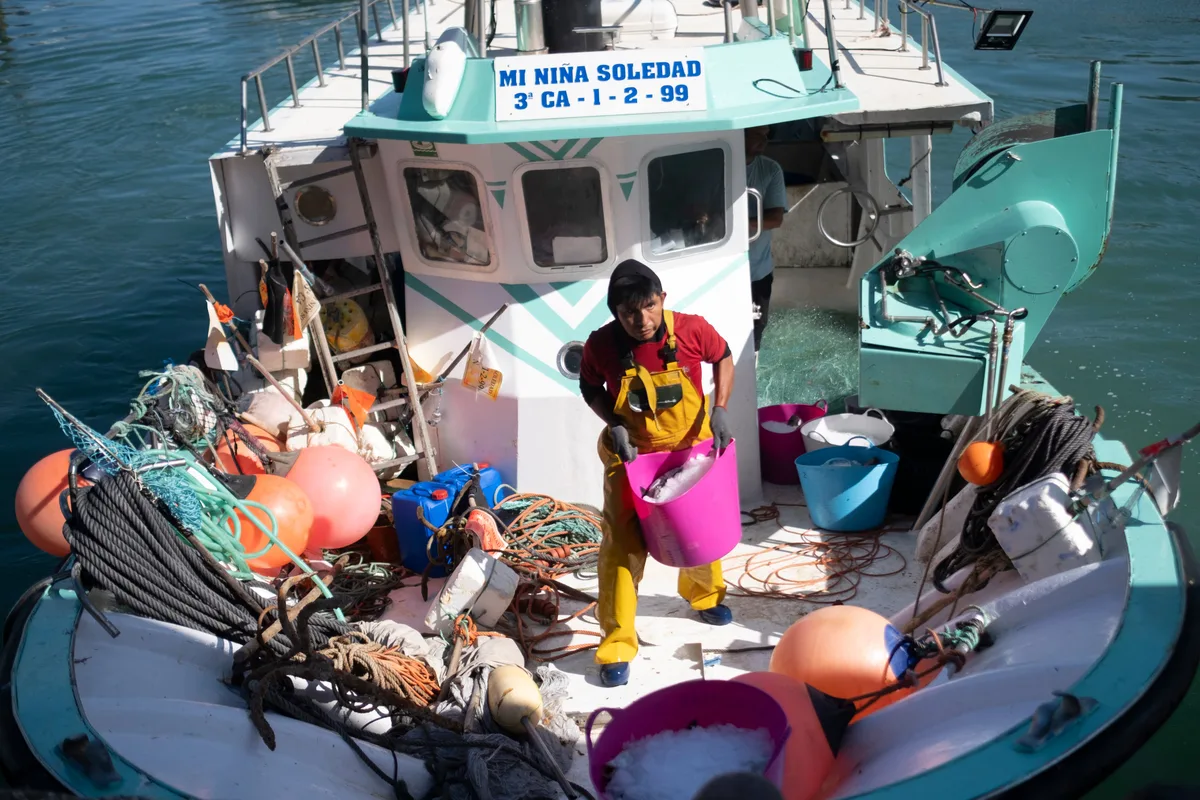 El ‘atún para todos’ sabe a poco a los pescadores de Cádiz